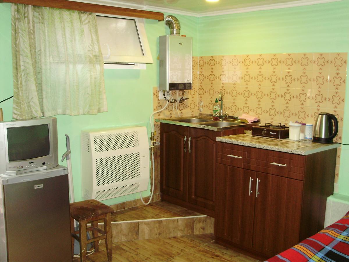Apartment On Erekle 25A Borjomi Eksteriør bilde